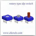 Rotary Dip Switches