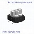 SMT Rotary Dip Switch 2