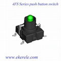 Push Button Switch 1