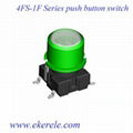 Push Button Switch 2