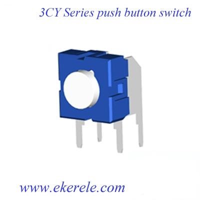 Push Button Switch 3