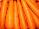 carrot 2