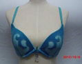 YIWU  BRA SET  FACTORY:2012 new fashion European style underwear set 1