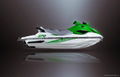 2011 Jet Ski Watercraft engine standard CE EPA approved 4