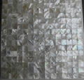 Seamless White lip shell mosaic for wall