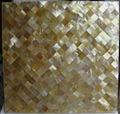 Yellow lip shell mother of pearl mosaic