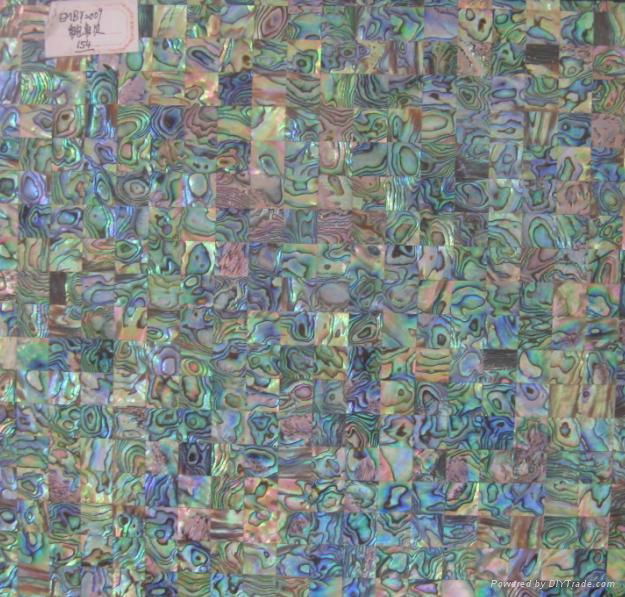 Natural Abalone Paua sea mosaic tiles for indoor decoration