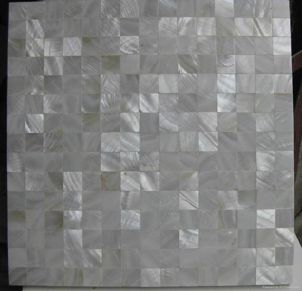 freshwater shell mosaic with natural color