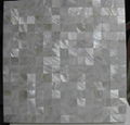 freshwater shell mosaic with natural