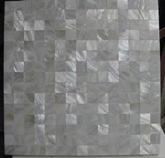 freshwater shell mosaic with natural color