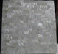 Strip Seamless freshwater shell mosaic