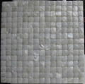 Convex Seamless White river shell mosaic