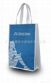 pp non-woven bag 3