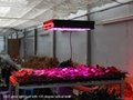 2011年新款 720W LED 植物生长灯 3
