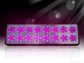 720W led grow light for greenhouse 2