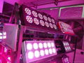 540W Led grow light for greenhouse 3