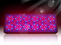 540W Led grow light for greenhouse 2