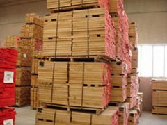 sawn timber