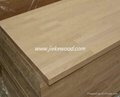 beech wood finger jointed panel
