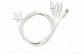 IPHONE/IPAD AV CABLE