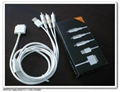 IPHONE/IPAD AV CABLE 4