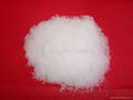 Magnesium Sulphate