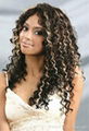 100% human hair silk top full lace wigs 1
