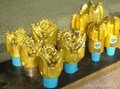 Pdc Cutters and Drill Bits