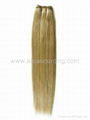 Hair weft/weave 2