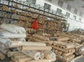 stainless steel wire mesh 1