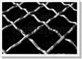 crimped wire mesh 3