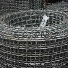 crimped wire mesh 4