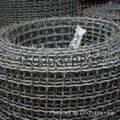 crimped wire mesh 4