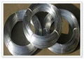 Galvanized Iron Wire