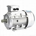 Y2 Induction AC Electric Motors-B3