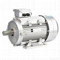 Y2 Aluminum Induction Electric Motors 1HP-B3