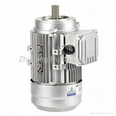 Y2 Series Three Phase Induction Motors-B14 