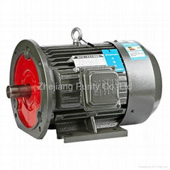 Y Cast Iron Asynchronous Motors-B35