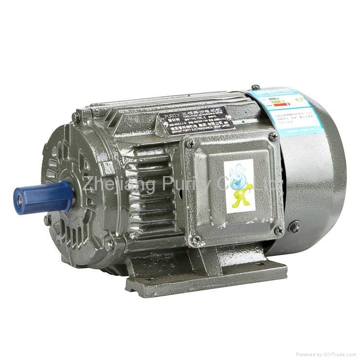 Y2 Iron Induction Electric Motors-B3
