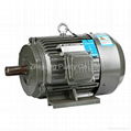 Y Cast Iron Asynchronous Motors-B3