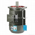 Y Cast Iron AC Motors-B5