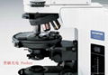 奧林巴斯BX51T-32P01研究級顯微鏡 4