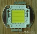 大功率LED灯珠1W-300W美国台湾正规芯片