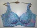 fashion bras 1