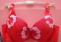 fashion bras 2