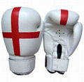 Boxing Glove 1