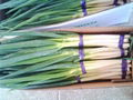 fresh shallot 1