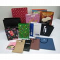 CHEAP PAPER SHOPPING BAG manufacturer in china  1