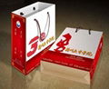 CHEAP PAPER SHOPPING BAG manufacturer in china  4