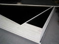 Black Film Faced Plywood